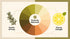 100% (30 luoptea Rosemary &lemon Tea Bags| Natural,Caffeine-Freewith Sun-Dried Lemon Peel &RosemaryLeaves,No-GMO