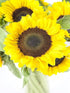 KaBloom Flowers -Valentine's Day Collection - Fresh Sunflowers without vase, Gift for Birthday, Sympathy, Anniversary