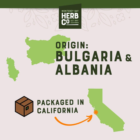 1 LB 100% MONTEREY BAY HERB CO Elderberries Certified Organic Bag Whole Natural (Sambucus nigra)