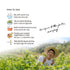NONGBU PLUS 6.76 Oz (200ml), 100% Cold Pressed Raw Perilla Oil, Fl Pure Perilla Seed Oil, Korean-Style Toasted, Rich