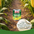 8.5 oz (Pack 12) Libby's Whole Kernel Sweet Corn | Naturally Sweet Flavor | Golden Yellow | Just-Off-The-Cob Crispness