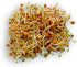 4 "COOL BEANS n SPROUTS" Brand, Love Your Heart Mix Seeds for Sprouting microgreens, Ounces, A Combination of Adzuki