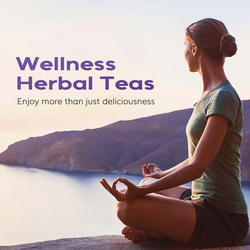50 Count FullChea - Hyssop Tea Bags, Caffeine-Free Herbal Tea Bags, Premium Hyssop, Support Digestion & Promote