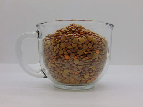 12 oz- Country Christmas Lentils- Perfect mix of Red and Green Lentil seeds for Sprouting Sprouts. Creek LLC
