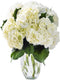 KaBloom - Beauty 6 White Hydrangeas with vase - Fresh Flowers for
