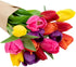 15 Stargazer Barn Stem Rainbow Tulips Bouquet Mothers Day Flowers for Mom Fresh Flower Delivery, Farm Fresh, Hand-Tied
