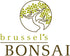 4 6-8 Inches Brussel's Bonsai - Live Gardenia Bonsai Tree, Outdoor Bonsai Plant in Grower Pot, Years Old, Tall, Easy