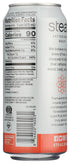 16 OZ (Pack 12) Steaz Organic Lightly Sweetened Iced Green Tea, Peach, FL
