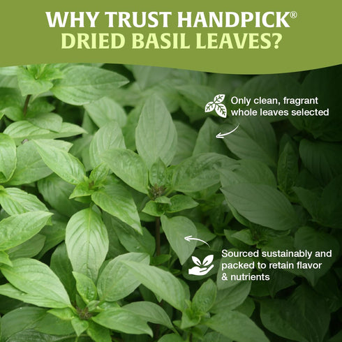 40 (100g/ 3.5oz) 100% Packed HANDPICK Dried Basil Leaves Servings Non GMO, Gluten Free, Raw Whole Tulsi Leaf, Sourced