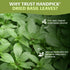 40 (100g/ 3.5oz) 100% Packed HANDPICK Dried Basil Leaves Servings Non GMO, Gluten Free, Raw Whole Tulsi Leaf, Sourced