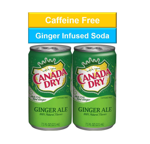 WEST END FOODS LANCASTER, PA WSNE 7.5 oz Pack, 12 Count Ginger Ale Mini Soda Cans, Soft Drinks Bulk Snacks Small