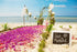 (100 Miami Fresh Orchid Loose Bloom PERISHABLE flowers OrchidClub USA Sunne Tropical DIY lei, food & drink decoration