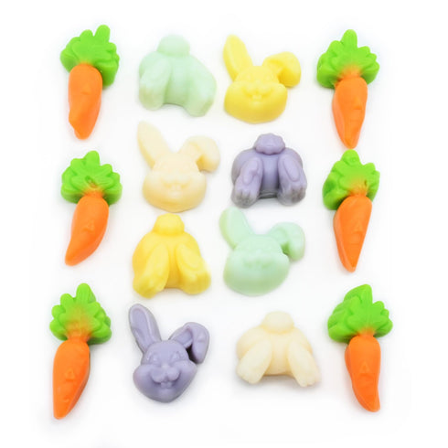 Gummies 1 Lb Candy Retailer Carrots Rabbits and Cottontails Easter