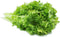 Wasabi Mustard Green Seeds - 100 Count Seed Pack - Non-GMO -
