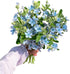 Cassiolina Fresh Tweedia Blue Star Flowers Bouquet Light Blue Fresh Cut Flowers for