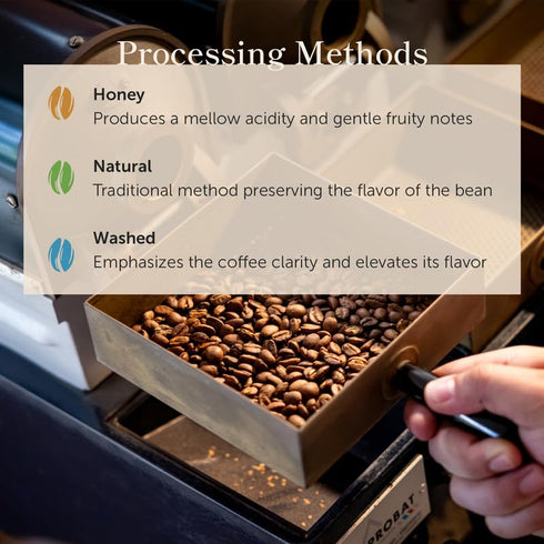 (16 oz) Bean of Fire El Salvador Pacamara Honey Ground Coffee Medium Roast, Single Origin Specialty, Creamy & Nutty Cup