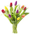 KaBloom - 10 Assorted Tulips without vase - Fresh Flowers for Birthday,