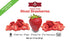 BioTree Labs Freeze Dried Sliced Strawberries, 1.5 oz Pack, 100% Natural for Healthy Snacks