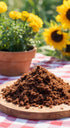 Generic 11 oz Dark Muscovado Sugar Rich Molasses Flavor, Moist Brown Sugar for Baking & Cooking Bag