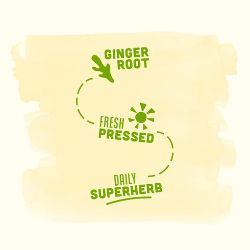 Immune Immunity 2 Oz (Pack 12) Vive Organic Support Ginger Shot, Cold-Pressed Ginger Root & Organic Juice, Gluten Free