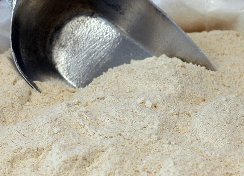 10lbs Organic Hard White Whole Wheat Flour