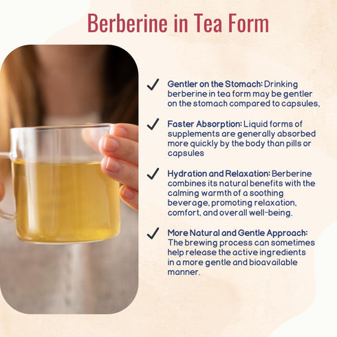 Human Body Clinic 30 Organic Berberine Tea Herbal Tea Promotes Health with Ceylon Cinnamon, Mint & Chamomile Tea Bags