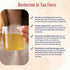 Human Body Clinic 30 Organic Berberine Tea Herbal Tea Promotes Health with Ceylon Cinnamon, Mint & Chamomile Tea Bags