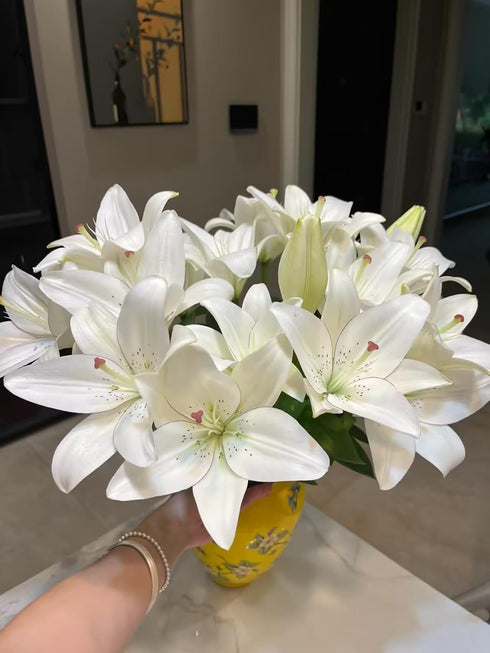 Cassiolina 10) Fresh Cut Asiatic Lily Flowers Elegant Lily Bouquet for Vase Home Decor Wedding Party Floral Arrangement