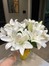 Cassiolina 10) Fresh Cut Asiatic Lily Flowers Elegant Lily Bouquet for Vase Home Decor Wedding Party Floral Arrangement