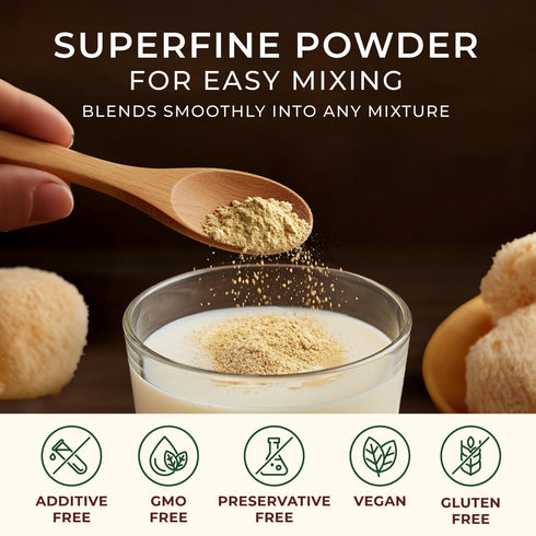 1.1lb (17.64 Oz) 100% Gya Tea Co Lions Mane Mushroom Powder - Pure & Tasty Great Superfoods for Smoothies, Drinks, Tea