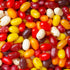 300 Pcs Fall Candy Jelly Beans Autumn Mix (12oz)
