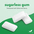 Evergreen Sweets Chewing Gum, 100 Pieces Jar, Natural Spearmint Gum, Sugar-Free, Aspartame Free, Vegan
