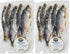 Bandi Dry Roach (Vobla) Fish 1lb per pack - Premium Quality, High-Protein