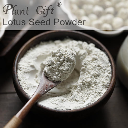 Plant Gift 100% 100G/3.25oz Pure Lotus Seed Powder Lotus Seed Flour, for Drinks, Adds Flavor and Taste Non-GMO Powder