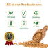 Spice Magic Whole Spices - 100% Pure, Aromatic & Natural, Gluten-Free, Non-GMO, Indian Origin (Fenugreek Seeds)
