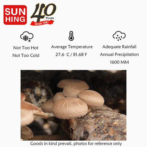 16 oz., 4-5cm FUYUKI Dried Mushrooms Dried Shiitake Mushrooms Dehydrated Mushrooms Premium Top Grade Shiitake Mushrooms