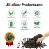 Spice Magic Herbs & Spices - 100% Pure, Aromatic & Natural, Gluten-Free, Non-GMO, Indian Origin (3.5oz)