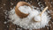 Brazilian Sea Salt (Pedra do Sal) from the Salts of the Earth