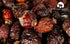 GRIGORIAN GOURMET 8 OZ (227g) Rosehip Berries Whole & Dried Wild-Harvested from Armenias Mountains | Naturally