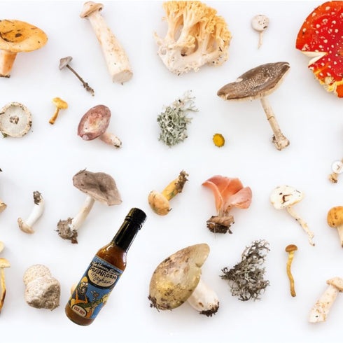 Mushroom Mayhem by Torchbearer Sauces, Medium Heat Hot Sauce with Umami, Shiitake Mushroom & Habanero, 5 fl oz Bottle