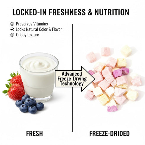 DYBOEDYO 5.3 oz, Pack,Yogurt Freeze Dried Yogurt Chunks Freeze Dried Ice Cream, Crispy Skin Mixed with Fruit Flavors