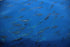 290 10.22 oz Wild Sicilian Mackerel in EVOO - Sicily, Italy - g