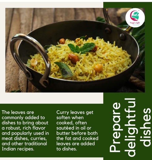 Dried Curry Leaves 0.7 Oz (900+ Leaves), Aromatic Whole Curry Leaves for Flavoring Food, Natural Herbs