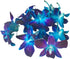 (50 Miami Fresh Orchid Flower OrchidClub USA Sunne Tropical Loose Bloom DIY Lei, food & drink decoration BLUE)