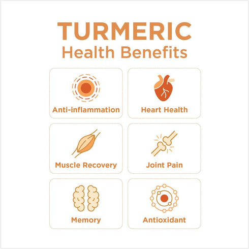 5 oz (Pack 1) The Ginger People Organic Turmeric Juice, fl