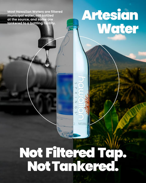 500mL (Pack 24) Hawaiian Springs- Natural Artesian Bottled Water | Volcanic Enhanced Alkaline Electrolytes | Sourced On