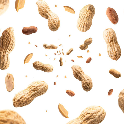2 lbs Naturalee Peanuts, Plain In Shell - Raw, Unsalted - Natural Healthy Snack, Squirrel or Wildlife Feed