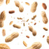 2 lbs Naturalee Peanuts, Plain In Shell - Raw, Unsalted - Natural Healthy Snack, Squirrel or Wildlife Feed