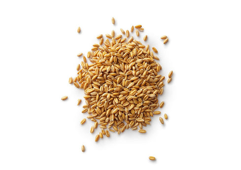 (2 lbs) Royal Lee Organics Organic Spelt Berries