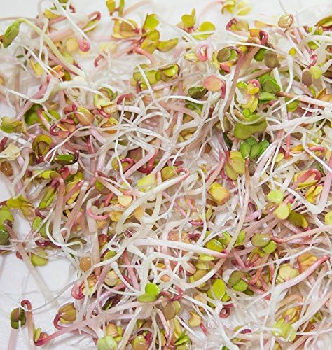 microgreens,1 lb, "COOL BEANS n SPROUTS" Brand, Love Your Heart Mix Seeds for Sprouting A Combination of Adzuki Beans